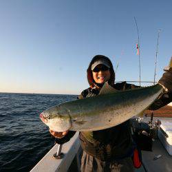 オーシャンズ　京都 釣果