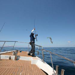 オーシャンズ　京都 釣果