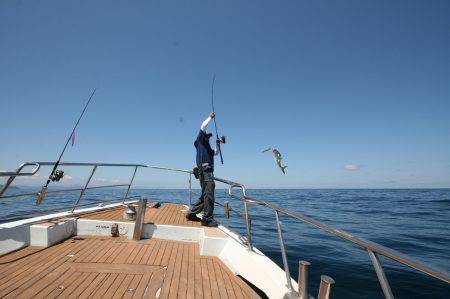 オーシャンズ　京都 釣果