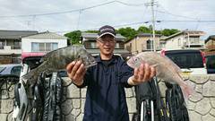 まこと渡船 釣果