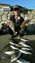 まこと渡船 釣果