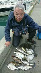 まこと渡船 釣果