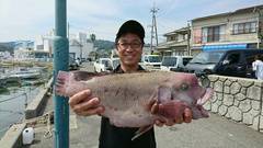 まこと渡船 釣果