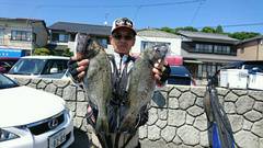 まこと渡船 釣果