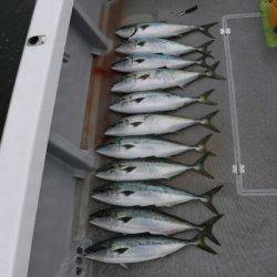 へいみつ丸 釣果