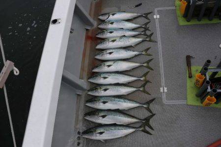 へいみつ丸 釣果