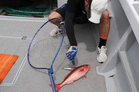 へいみつ丸 釣果