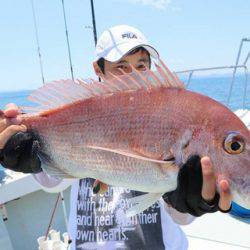 スカイマリン 釣果