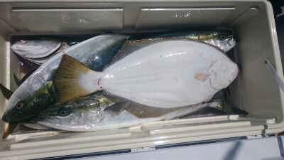 IDATEN(イダテン) 釣果