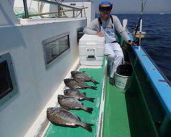 久里浜黒川本家 釣果