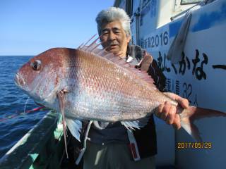 なかくに丸 釣果