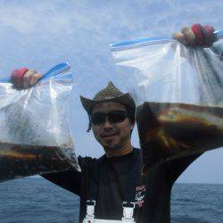 大進丸（愛知） 釣果