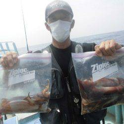 大進丸（愛知） 釣果