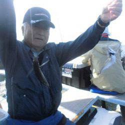 大進丸（愛知） 釣果