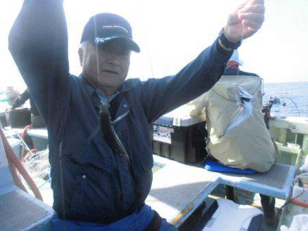 大進丸（愛知） 釣果