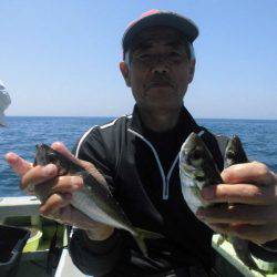 大進丸（愛知） 釣果