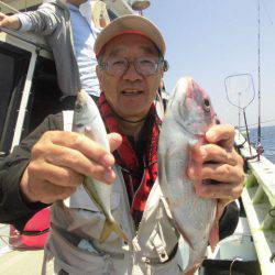 大進丸（愛知） 釣果