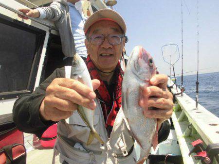 大進丸（愛知） 釣果