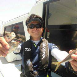 大進丸（愛知） 釣果