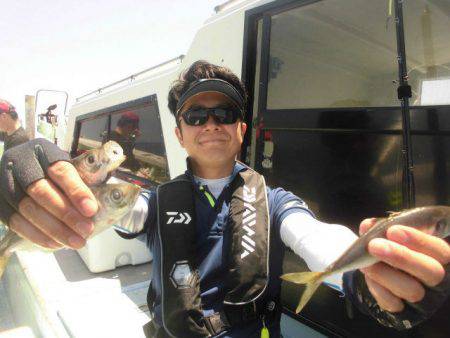 大進丸（愛知） 釣果