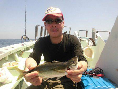 大進丸（愛知） 釣果