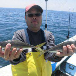 大進丸（愛知） 釣果
