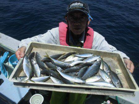 大進丸（愛知） 釣果