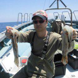 大進丸（愛知） 釣果