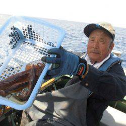 大進丸（愛知） 釣果