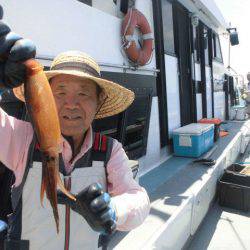 大進丸（愛知） 釣果