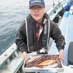 大進丸(愛知) 釣果