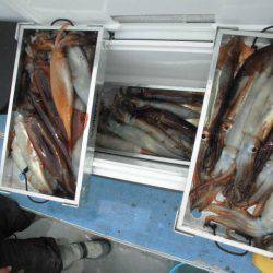 大進丸(愛知) 釣果