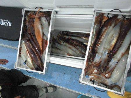 大進丸(愛知) 釣果