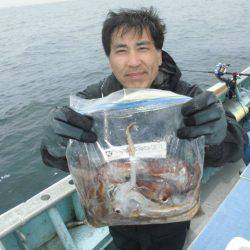 大進丸(愛知) 釣果