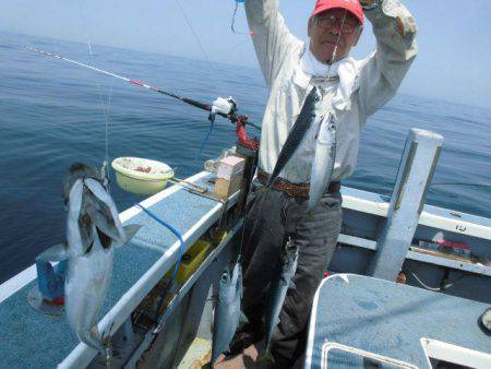 大進丸（愛知） 釣果