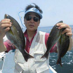 大進丸（愛知） 釣果