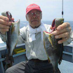 大進丸（愛知） 釣果