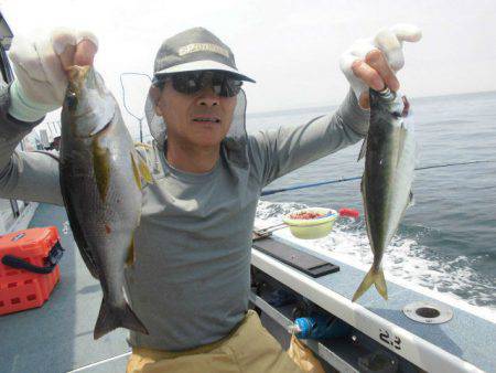 大進丸（愛知） 釣果