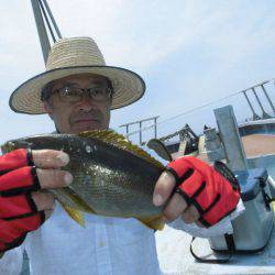 大進丸（愛知） 釣果