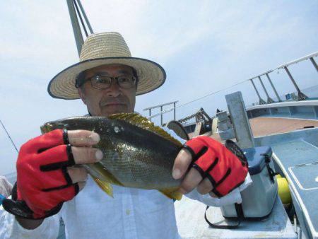 大進丸（愛知） 釣果