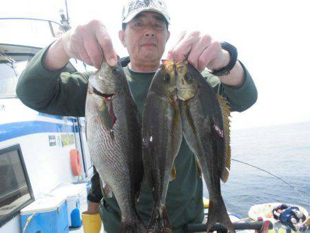 大進丸（愛知） 釣果