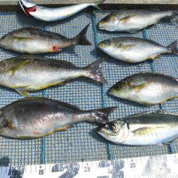 大進丸（愛知） 釣果