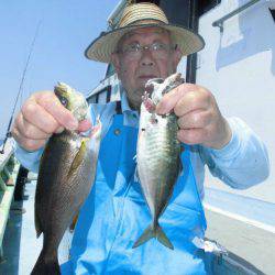 大進丸（愛知） 釣果