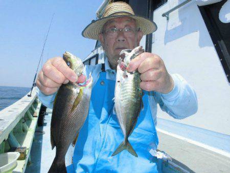 大進丸（愛知） 釣果