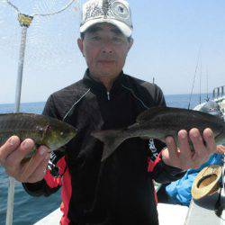 大進丸（愛知） 釣果