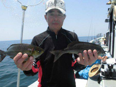 大進丸（愛知） 釣果