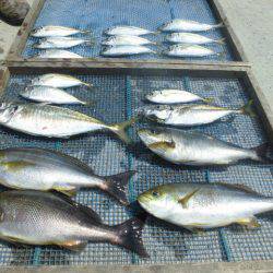 大進丸（愛知） 釣果