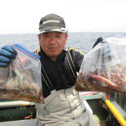 大進丸（愛知） 釣果