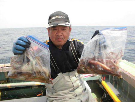 大進丸（愛知） 釣果