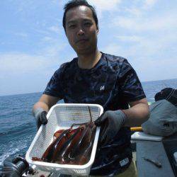 大進丸（愛知） 釣果